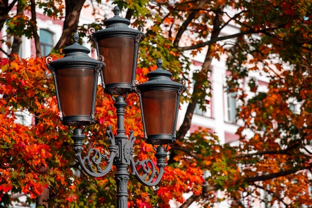 Beautiful street lamp in the park in autumn. High quality photo