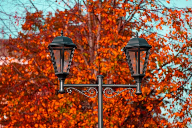 Beautiful street lamp in the park in autumn. High quality photo