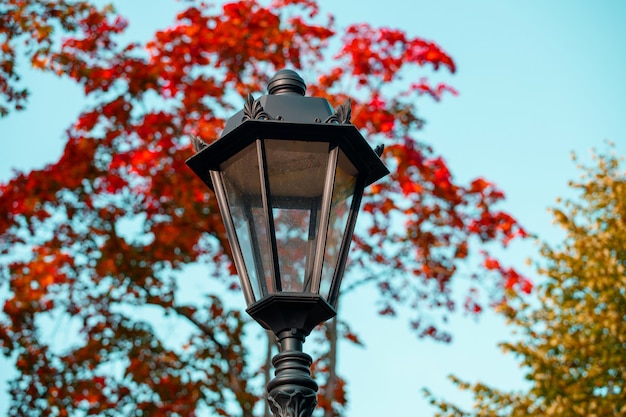 Beautiful street lamp in the park in autumn. High quality photo