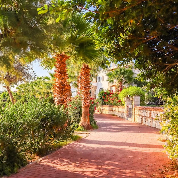 A beautiful street of a small town with tropical plants on the mediterranean coast