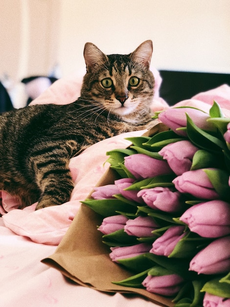 床やテーブルの上に花のガラスの花瓶と花で遊ぶ美しい縞模様の猫