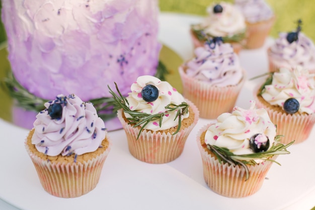 Beautiful stylish delicious wedding cake with berries and cupcakes on white table and nature background, selective focus