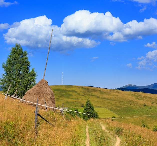 Beautiful summer carpathian mountain country view (ukraine, verkhovyna district, ivano-frankivsk region)