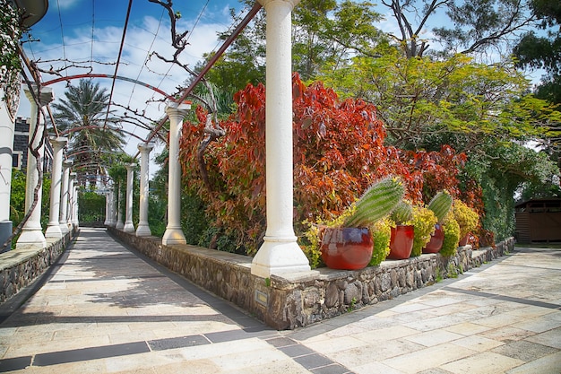 beautiful summer garden in the park