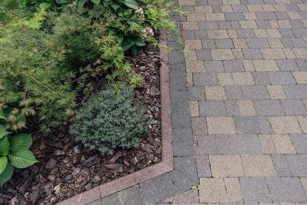 Beautiful summer garden with a walkway winding its way through