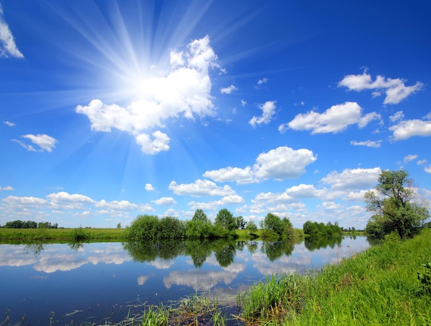 美しい夏の湖の風景