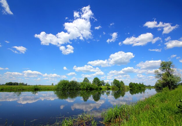 美しい夏の湖の風景