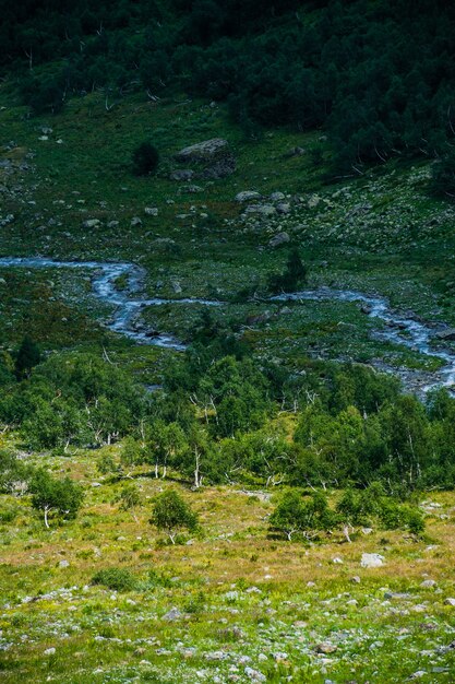 Photo the beautiful summer landscape in arkhyz, russia