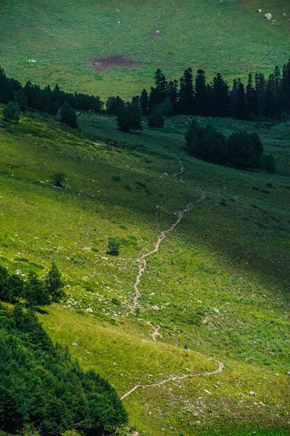 The beautiful summer landscape in Arkhyz, Russia