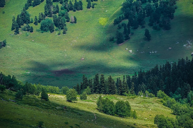 Красивый летний пейзаж в Архызе, Россия