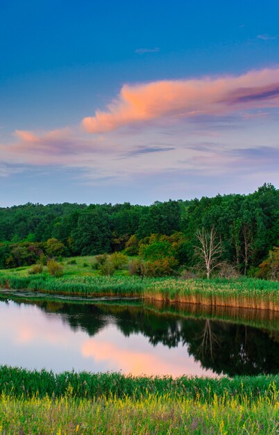 Beautiful summer landscape, beautiful view of the lake, surrounded by meadows and green forest. Blue sky over plain, nature, background