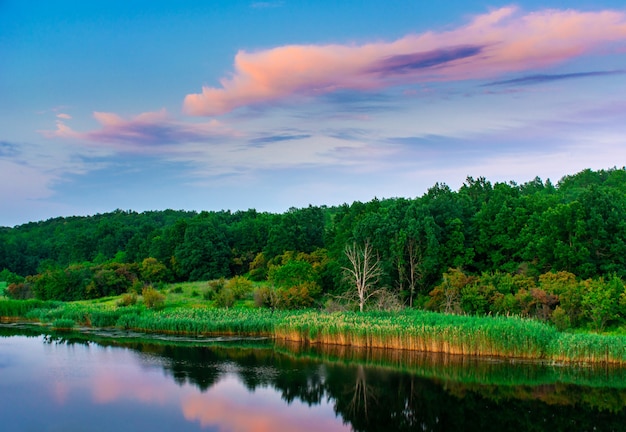 Photo beautiful summer landscape, beautiful view of the lake, surrounded by meadows and green forest. blue sky over plain, nature, background