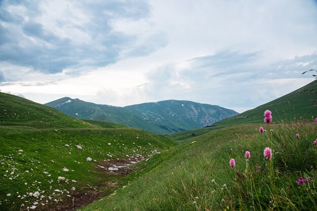 花の咲く山の谷の曇りの日の美しい夏の風景。ロシア、アディゲ