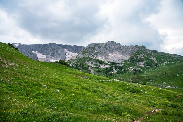 Bellissimo paesaggio estivo in una giornata nuvolosa in montagna