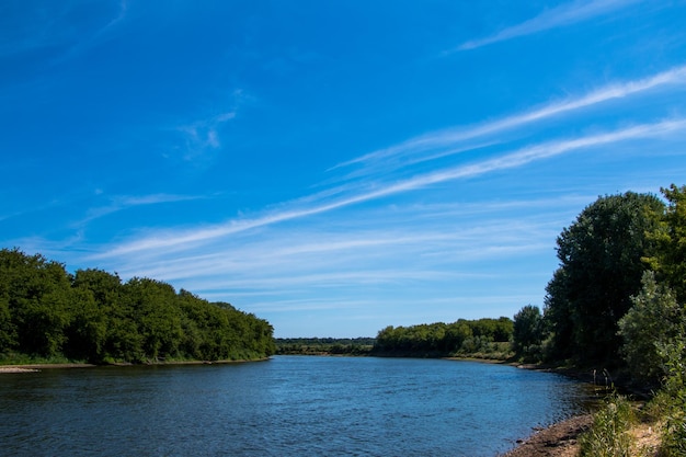 Bellissimo paesaggio estivo. il fiume dnepr in bielorussia.