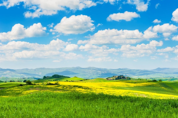 美しい夏の風景。イタリア、トスカーナの緑の丘。