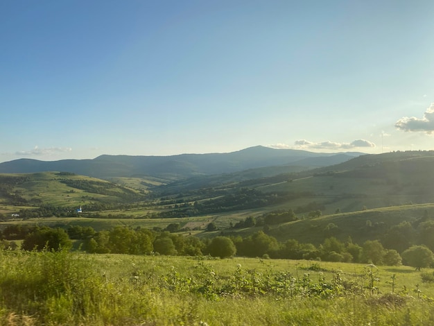 Beautiful summer landscape of a green meadow on a hill