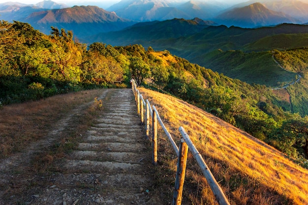 Beautiful summer landscape in the mountains with the sunset