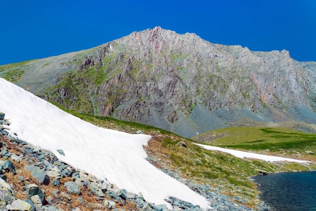 Beautiful summer landscape Russia Siberia Altai mountains Snow in mountains snowdrifts of white undisturbed snow in the summer high in the mountains