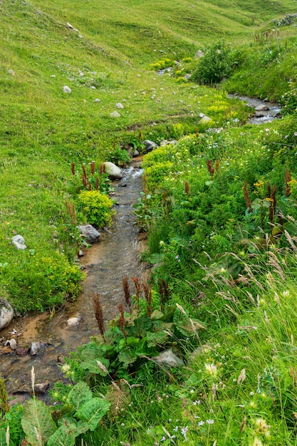 トルコ、アルトヴィン県、サヴサットの美しい夏の風景