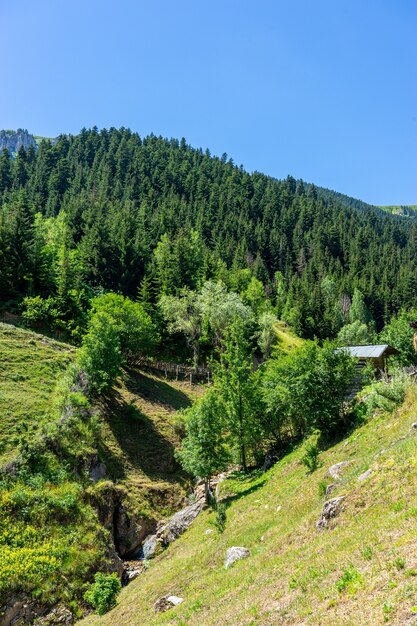 Bellissimo paesaggio estivo a savsat, provincia di artvin, turchia