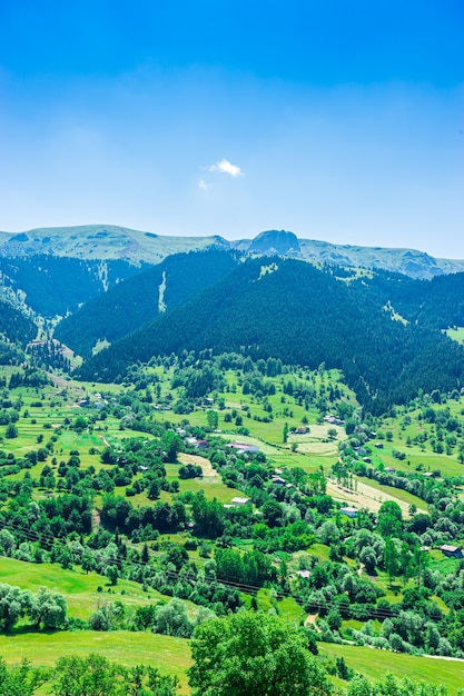 トルコ、アルトヴィン県、サヴサットの美しい夏の風景