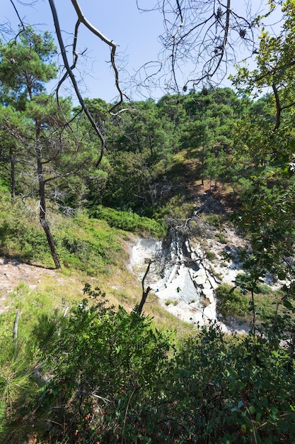 美しい夏の風景森の眺め風光明媚なエリアでのハイキング野生のビーチへの道