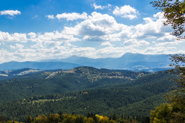 아름다운 여름 풍경. Hoverla 산의보기