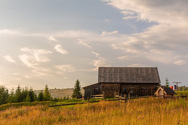 Beautiful summer landscape of village among Karpaty mountains.