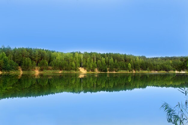 森の中の絵のように美しい湖のある美しい夏の風景