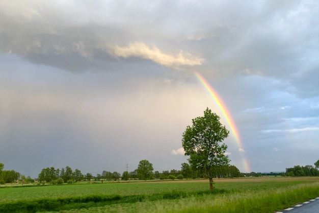 Beautiful summer landscape with a rainbow on a green field