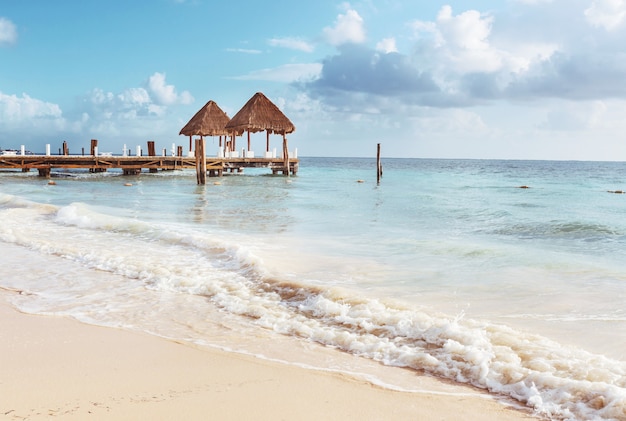 Beautiful summer landscapes  on the tropical beach