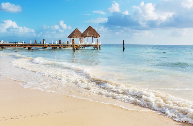 Beautiful summer landscapes  on the tropical beach