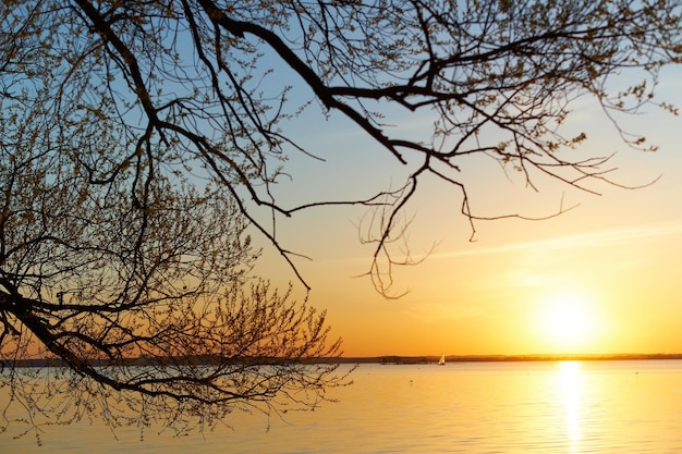 Beautiful summer morning lake landscape with sunrise