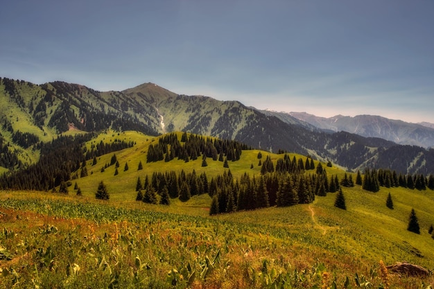 Photo beautiful summer mountain landscape blue smoke and forest kazakhstan almaty aktas plateau and bukreev peak