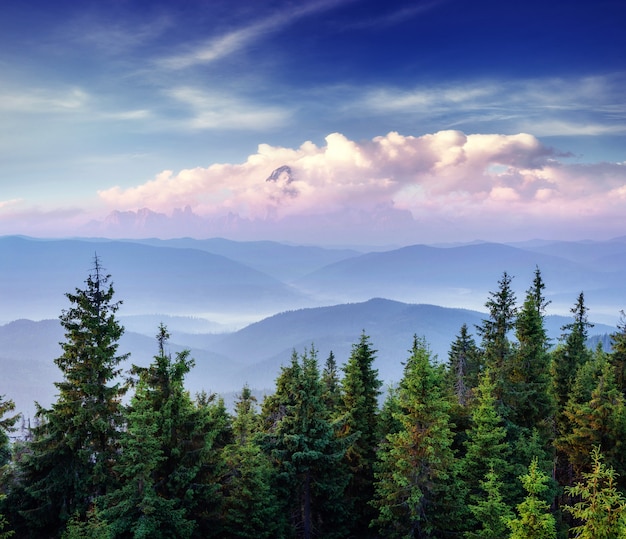 Beautiful summer mountain landscape. Dramatic scene. Carpathian