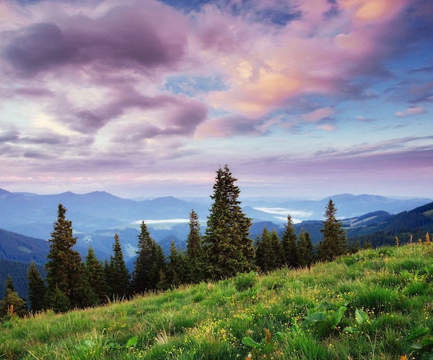 Beautiful summer mountain landscape. Dramatic scene. Carpathian,