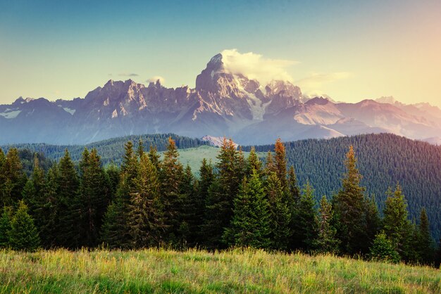 Beautiful summer mountain landscape. Dramatic scene. Carpathian,