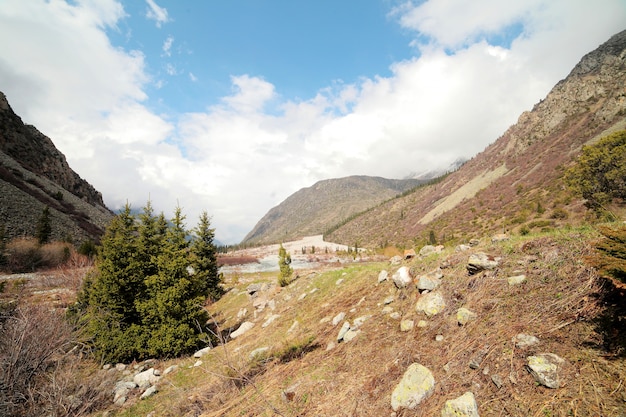 Beautiful summer mountain landscape.