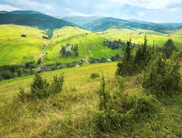 아름다운 여름 산과 산비탈의 작은 마을(Carpathian. Ukraine)