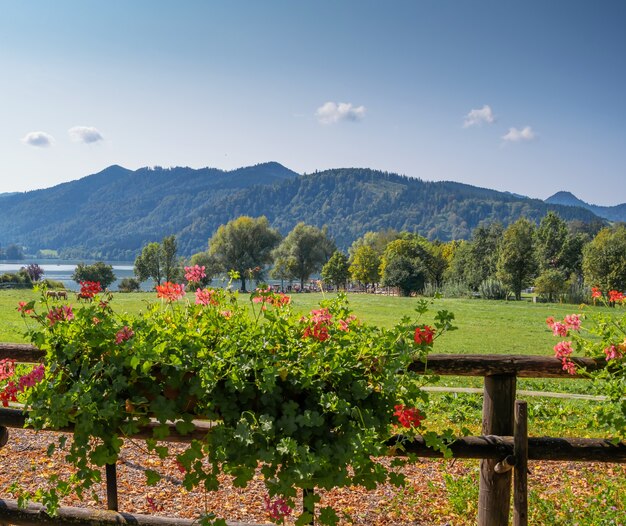 beautiful summer photos from the lake in bavaria schliersee