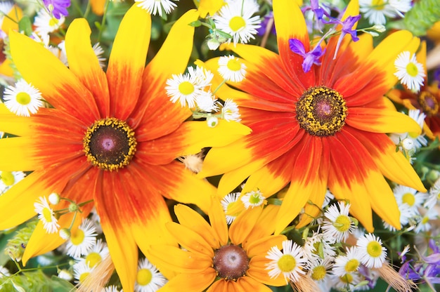 Beautiful summer wild meadow bouquet