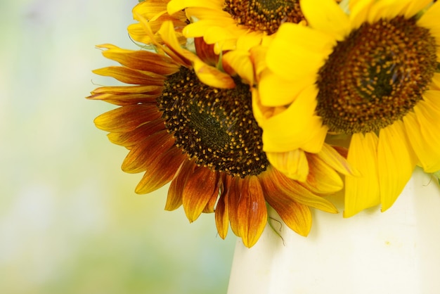 Beautiful sunflowers in pitcher on bright background