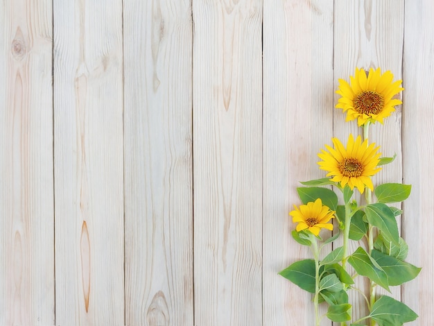 Beautiful sunflowers on rustic wooden board