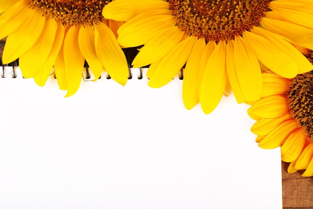 Beautiful sunflowers with notepad close up