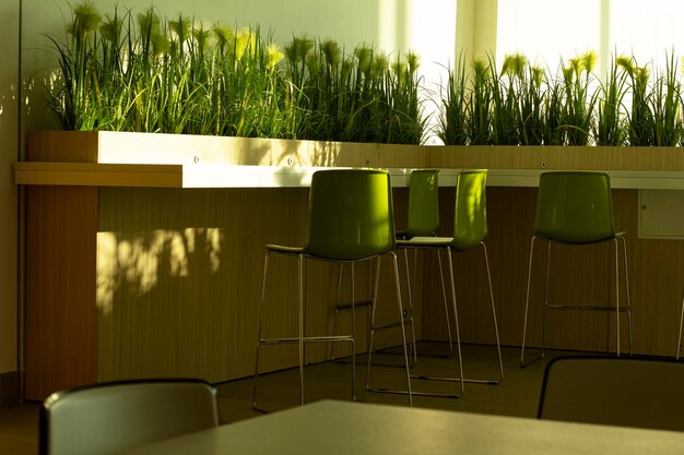 Foto bella luce solare sul verde o mobili per la sala da pranzo erba verde natura