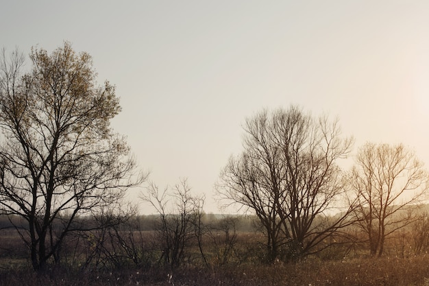 Beautiful sunny autumn landscape