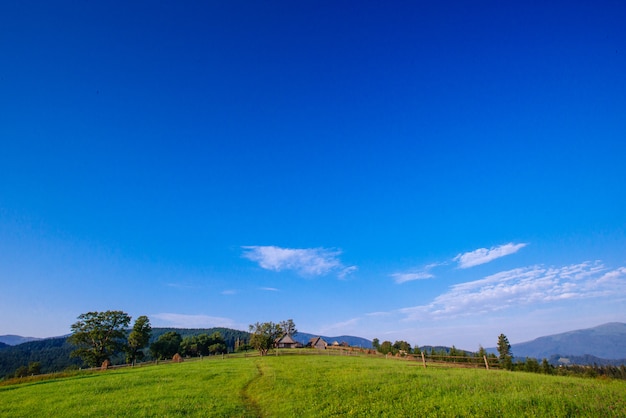 Bella giornata di sole è in montagna