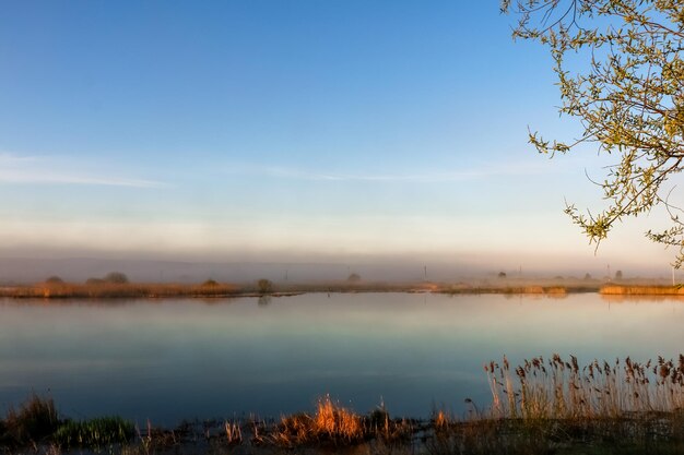 Beautiful sunny landscape with river sun shines