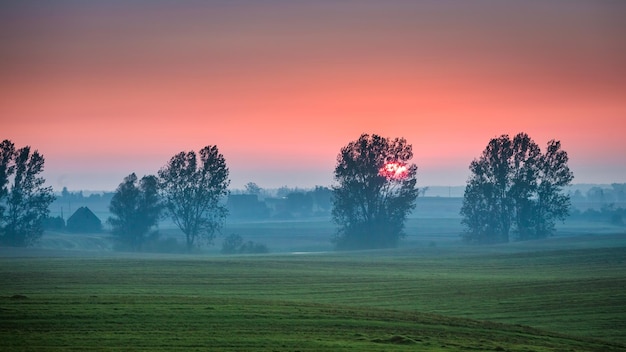 Beautiful sunrise at foggy field and sun in summer Europe